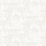Cole and Son Tapet Cow Parsley 52