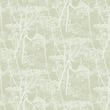 Cole and Son Tapet Cow Parsley 29