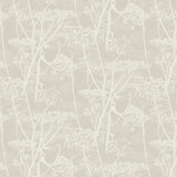 Cole and Son Tapet Cow Parsley 51