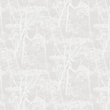Cole and Son Tapet Cow Parsley 27