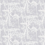 Cole and Son Tapet Cow Parsley 49