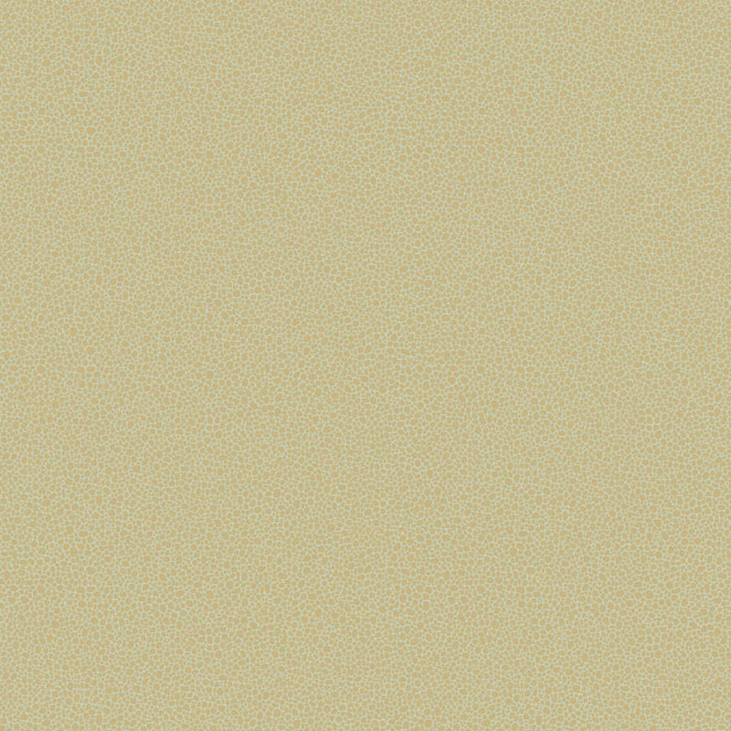Goldstone Tapet — Cole & Son