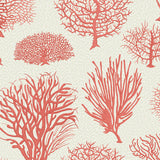Cole and Son Tapet Seafern 11