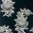 Black/Pale Gilver | Svart